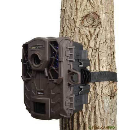 TRAIL CAMERA (6)